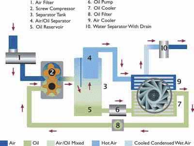 Screw Compressor Diagram